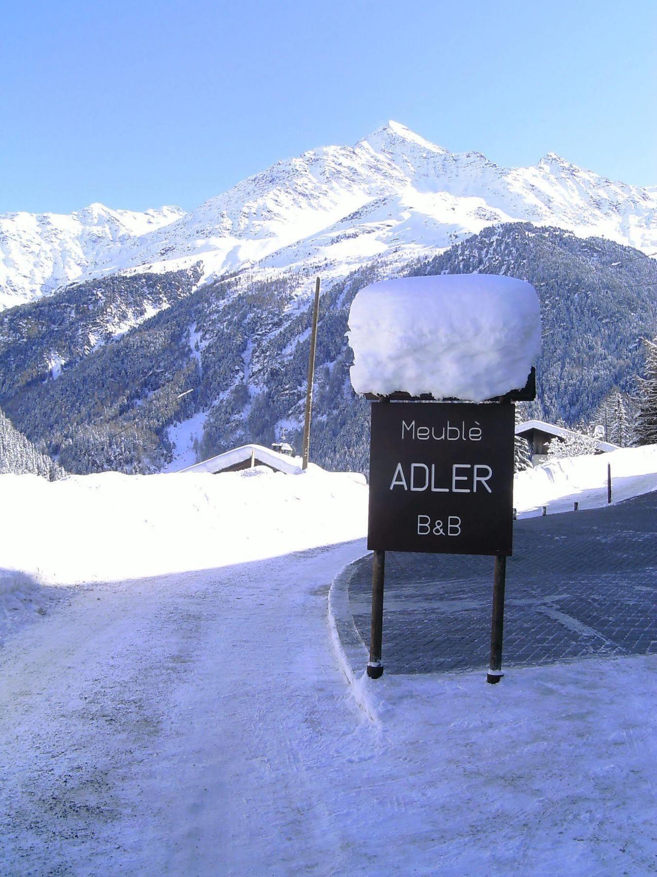 Hotel Meuble Adler - Rooms & Mountain Apartments Santa Caterina Valfurva Exterior foto